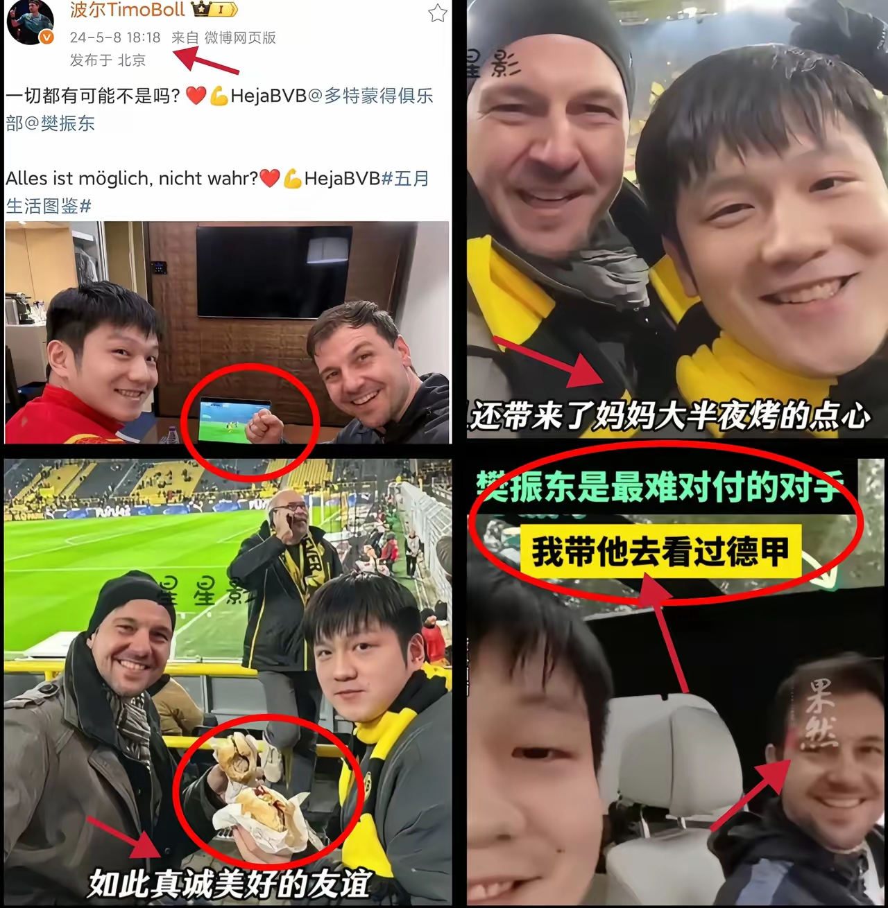 开云体育官方网站-波兰乒乓球队翻盘德国乒乓球队,波尔完成帽子戏法的简单介绍