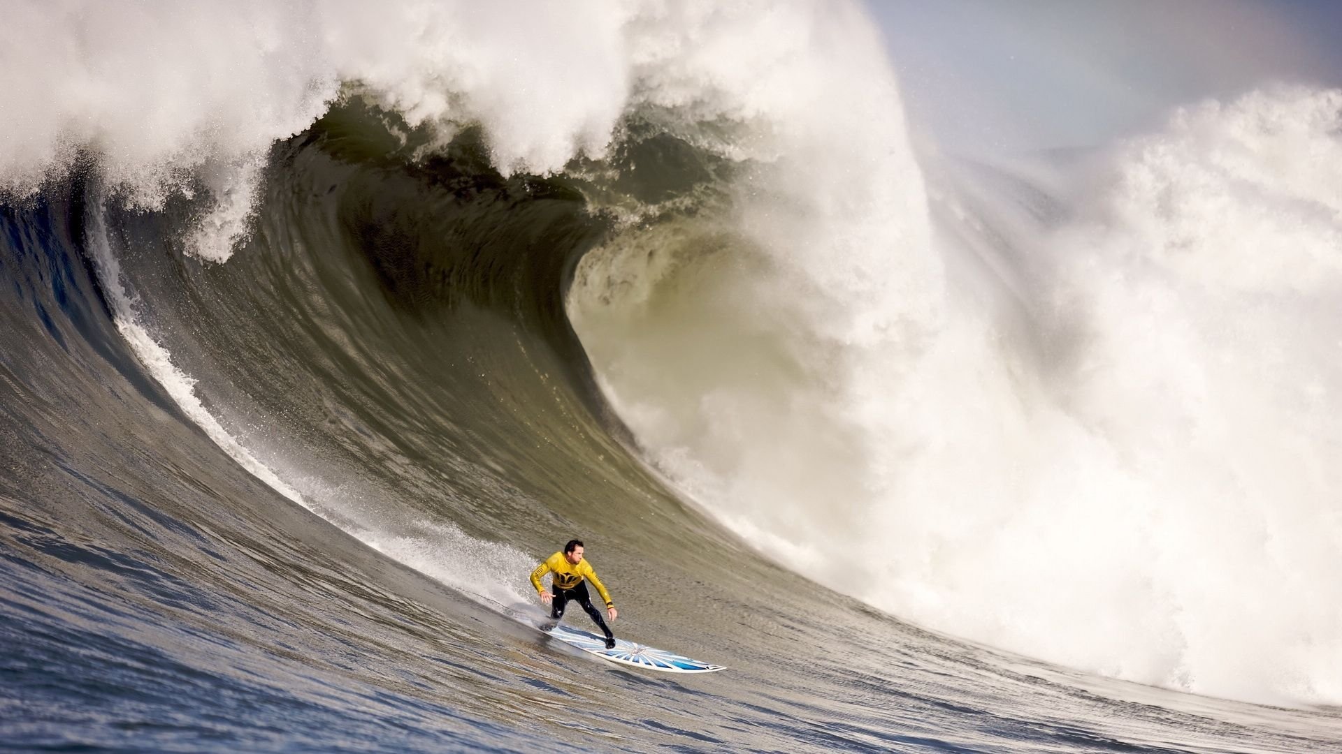 鹿特丹的最后一秒,当萨卡让郁金香在2026年寒冬绽放